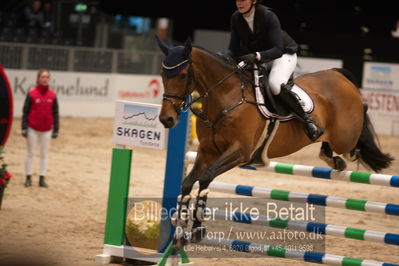 Dansk varmblod hingstekåring.
kraft tour of ameteurs
Nøgleord: sanne fanøe zimmer;louisiana