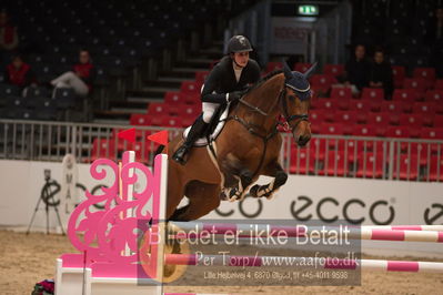 Dansk varmblod hingstekåring.
kraft tour of ameteurs
Nøgleord: sanne fanøe zimmer;louisiana