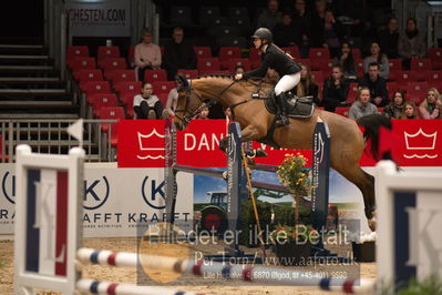 Dansk varmblod hingstekåring.
kraft tour of ameteurs
Nøgleord: sille kure danielsen;henderson