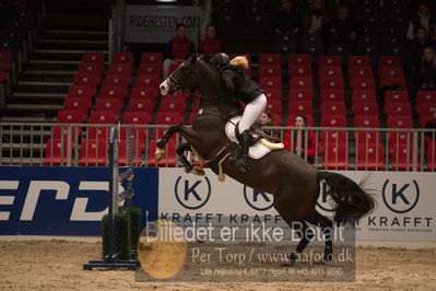 Dansk varmblod hingstekåring.
kraft tour of ameteurs
Nøgleord: julie lund terkelsen