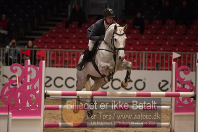 Dansk varmblod hingstekåring.
kraft tour of ameteurs
Nøgleord: nikolai kristensen;ludo