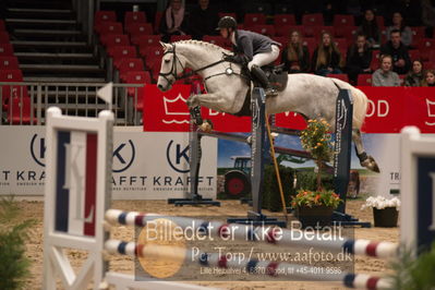 Dansk varmblod hingstekåring.
kraft tour of ameteurs
Nøgleord: nikolai kristensen;ludo