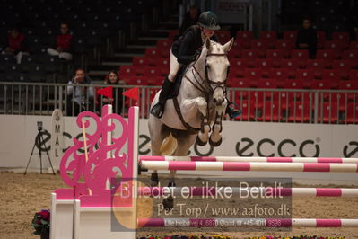 Dansk varmblod hingstekåring.
kraft tour of ameteurs
Nøgleord: natasja bang lynge;raakjær's melissa