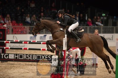 Dansk varmblod hingstekåring.
kraft tour of ameteurs
Nøgleord: nathalie berggren;wizal III f vejgård