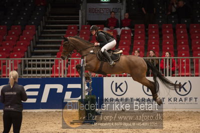Dansk varmblod hingstekåring.
kraft tour of ameteurs
Nøgleord: nathalie berggren;wizal III f vejgård