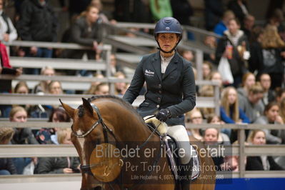 Dansk varmblod hingstekåring.
præsentation af hingste
Nøgleord: laila pdersen;svalegårds gold crelido
