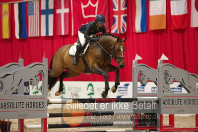 Dansk varmblod hingstekåring.
præsentation af hingste
Nøgleord: laila pdersen;svalegårds gold crelido