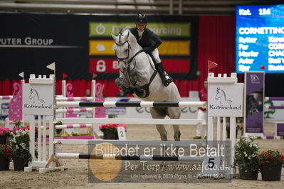 Dansk varmblod hingstekåring.
præsentation af hingste
Nøgleord: cornett senjor ask;karen møller rohde