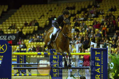 Dansk varmblod hingstekåring.
Skibby Hc big tour lr 150cm csi3
Nøgleord: eric ten cate;lacoste 145