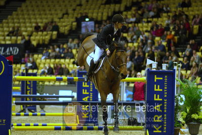 Dansk varmblod hingstekåring.
Skibby Hc big tour lr 150cm csi3
Nøgleord: eric ten cate;lacoste 145