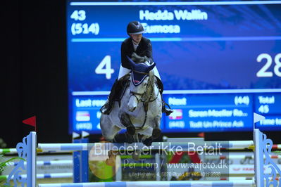 Dansk varmblod hingstekåring.
Skibby Hc big tour lr 150cm csi3
Nøgleord: hedda wallin;eumosa