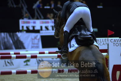 Dansk varmblod hingstekåring.
Skibby Hc big tour lr 150cm csi3
Nøgleord: karen  møller rohde;quarz ask