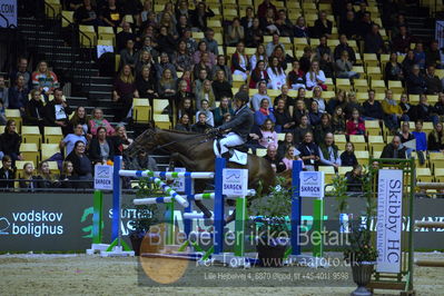 Dansk varmblod hingstekåring.
Skibby Hc big tour lr 150cm csi3
Nøgleord: søren møller rohde;todt un prince ask