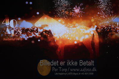 Dansk varmblod hingstekåring.
galashow
