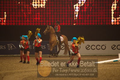 Dansk varmblod hingstekåring.
galashow
