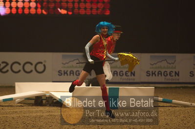 Dansk varmblod hingstekåring.
galashow
