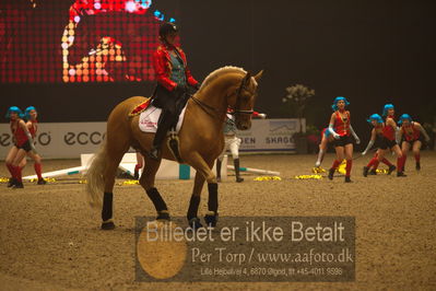 Dansk varmblod hingstekåring.
galashow
