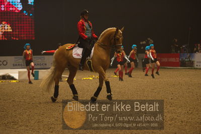 Dansk varmblod hingstekåring.
galashow
