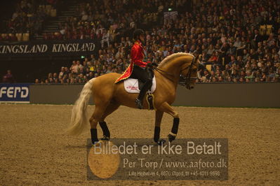 Dansk varmblod hingstekåring.
galashow
