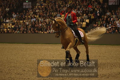 Dansk varmblod hingstekåring.
galashow
