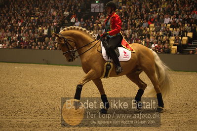 Dansk varmblod hingstekåring.
galashow
