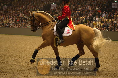 Dansk varmblod hingstekåring.
galashow
