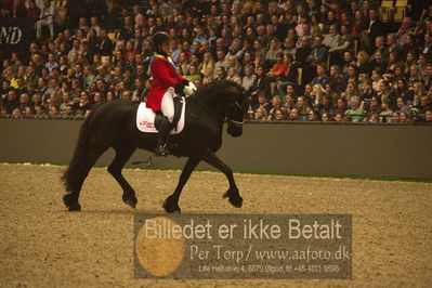 Dansk varmblod hingstekåring.
galashow
