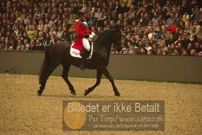 Dansk varmblod hingstekåring.
galashow
