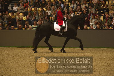 Dansk varmblod hingstekåring.
galashow
