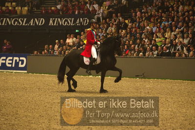 Dansk varmblod hingstekåring.
galashow
