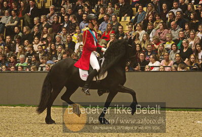 Dansk varmblod hingstekåring.
galashow
