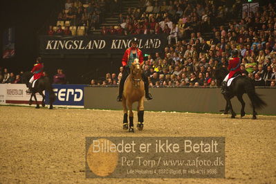 Dansk varmblod hingstekåring.
galashow
