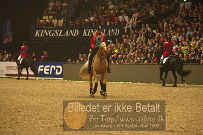 Dansk varmblod hingstekåring.
galashow
