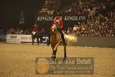 Dansk varmblod hingstekåring.
galashow
