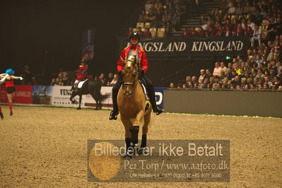 Dansk varmblod hingstekåring.
galashow
