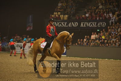 Dansk varmblod hingstekåring.
galashow
