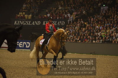 Dansk varmblod hingstekåring.
galashow
