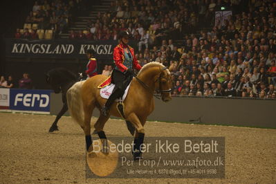 Dansk varmblod hingstekåring.
galashow
