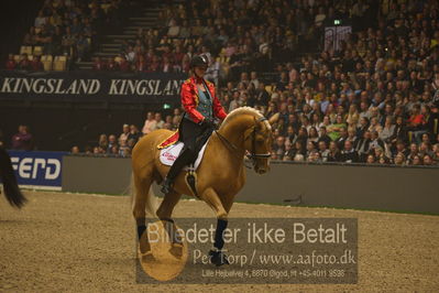 Dansk varmblod hingstekåring.
galashow
