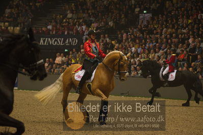 Dansk varmblod hingstekåring.
galashow
