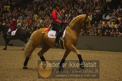 Dansk varmblod hingstekåring.
galashow
