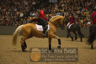 Dansk varmblod hingstekåring.
galashow
