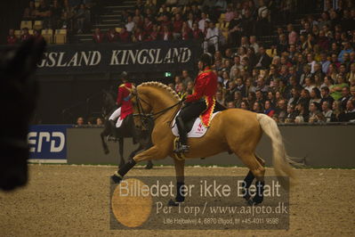 Dansk varmblod hingstekåring.
galashow
