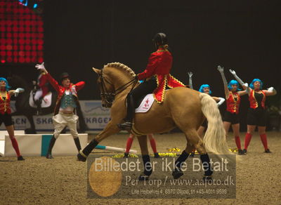 Dansk varmblod hingstekåring.
galashow
