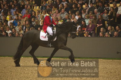 Dansk varmblod hingstekåring.
galashow
