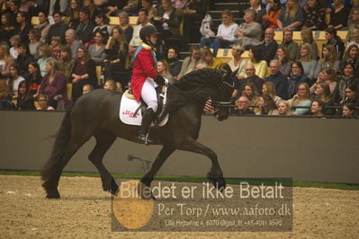 Dansk varmblod hingstekåring.
galashow
