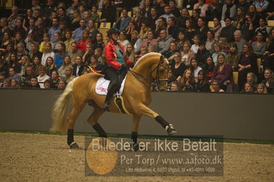 Dansk varmblod hingstekåring.
galashow
