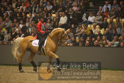 Dansk varmblod hingstekåring.
galashow
