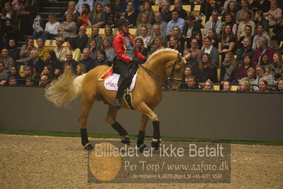 Dansk varmblod hingstekåring.
galashow
