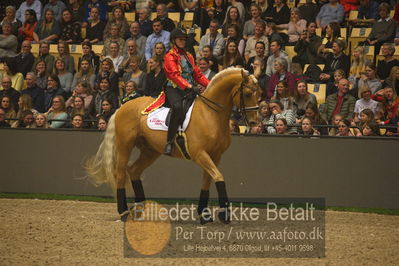 Dansk varmblod hingstekåring.
galashow
